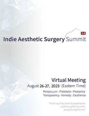 Indie Aesthetic Meeting 2023 poster